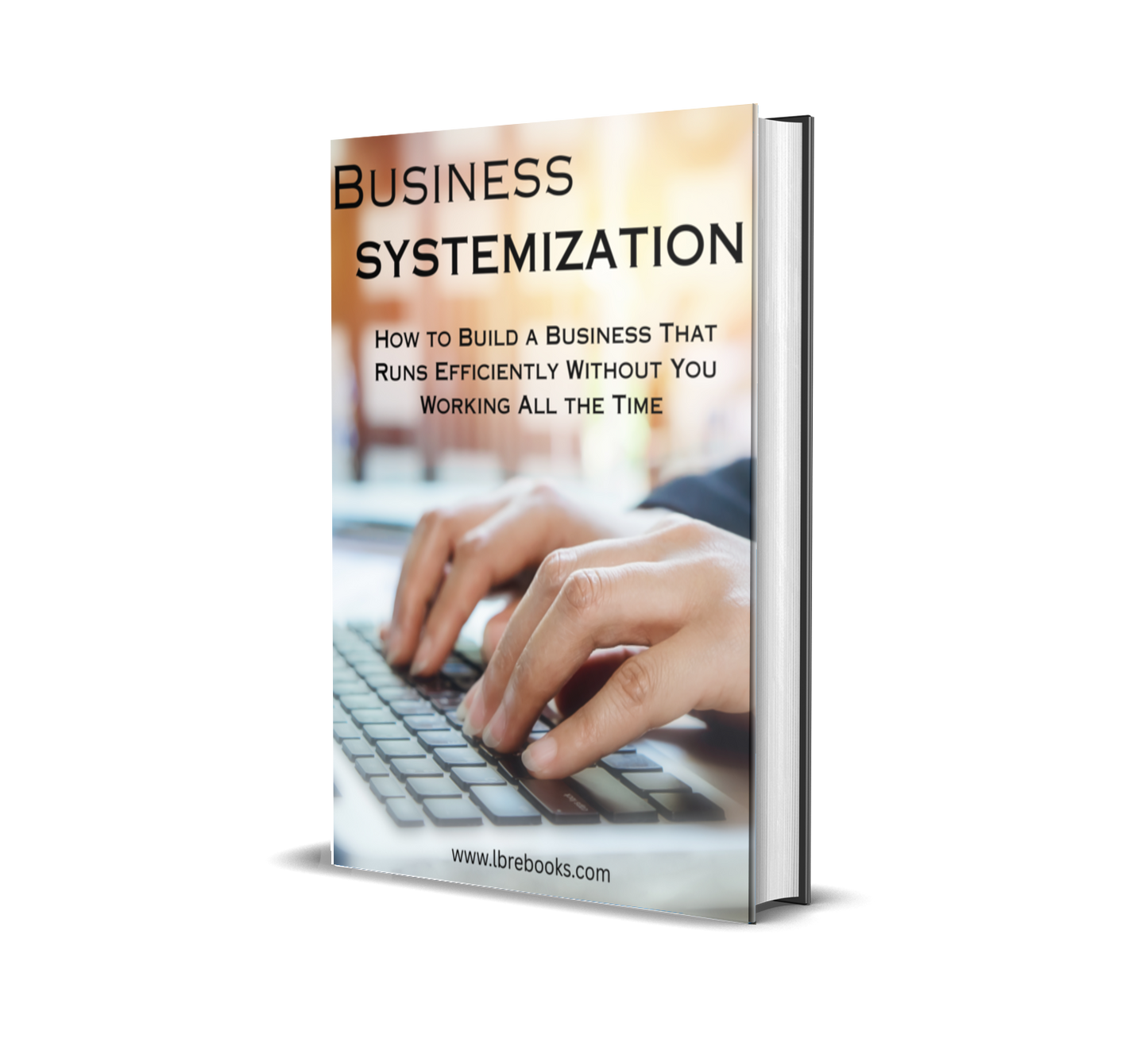 Business Systemization